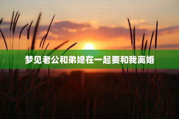 梦见老公和弟媳在一起要和我离婚