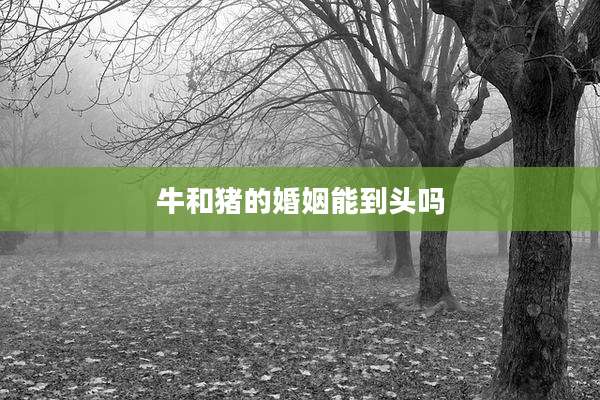 牛和猪的婚姻能到头吗