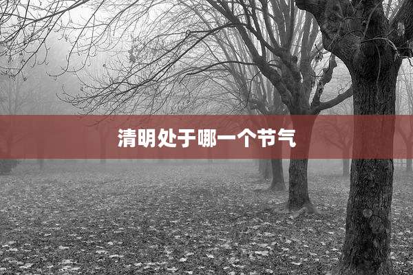 清明处于哪一个节气