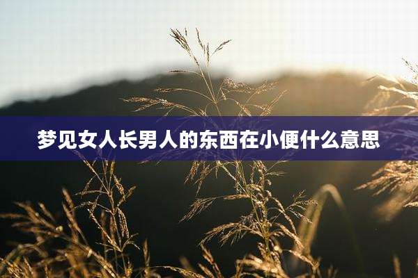 梦见女人长男人的东西在小便什么意思