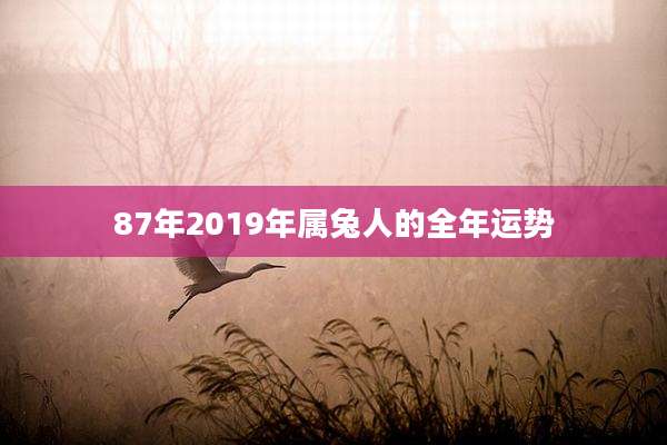 87年2019年属兔人的全年运势