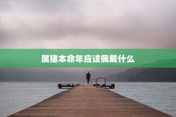 属猪本命年应该佩戴什么