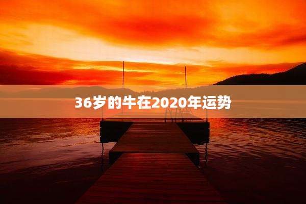 36岁的牛在2020年运势