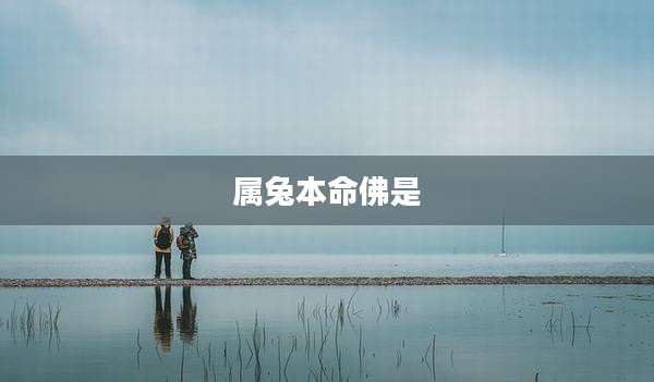 属兔本命佛是