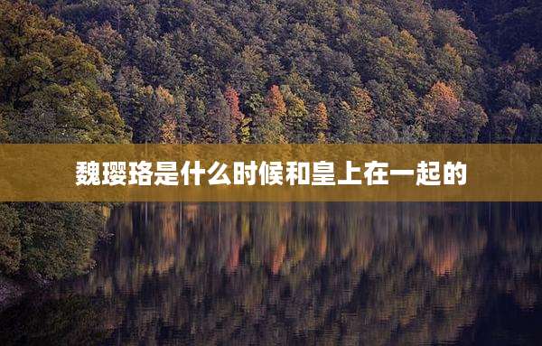 魏璎珞是什么时候和皇上在一起的