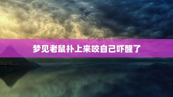 梦见老鼠扑上来咬自己吓醒了