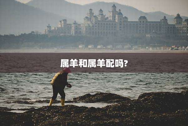 属羊和属羊配吗?