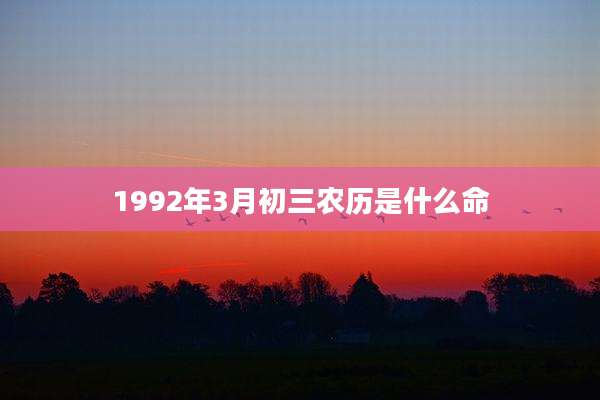 1992年3月初三农历是什么命