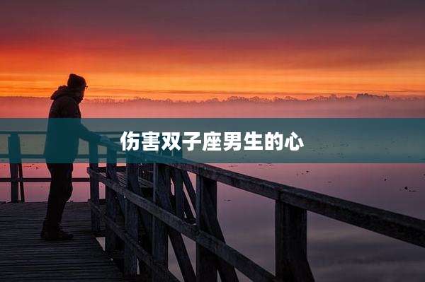 伤害双子座男生的心