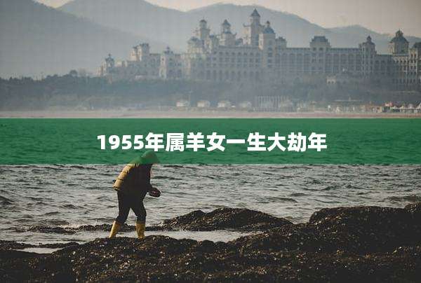 1955年属羊女一生大劫年