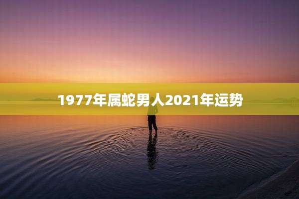 1977年属蛇男人2021年运势