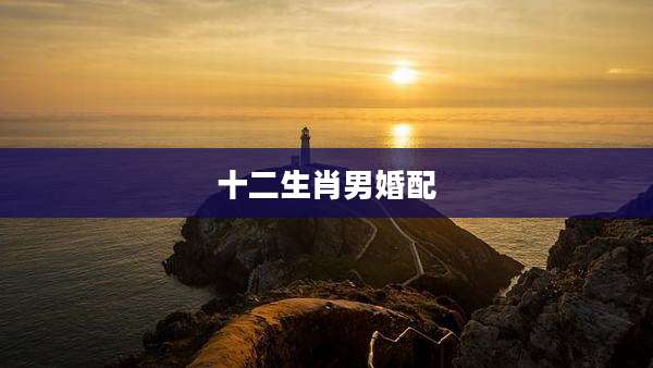 十二生肖男婚配