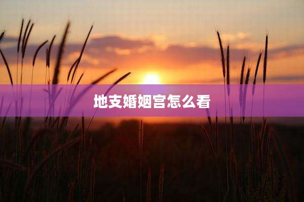 地支婚姻宫怎么看