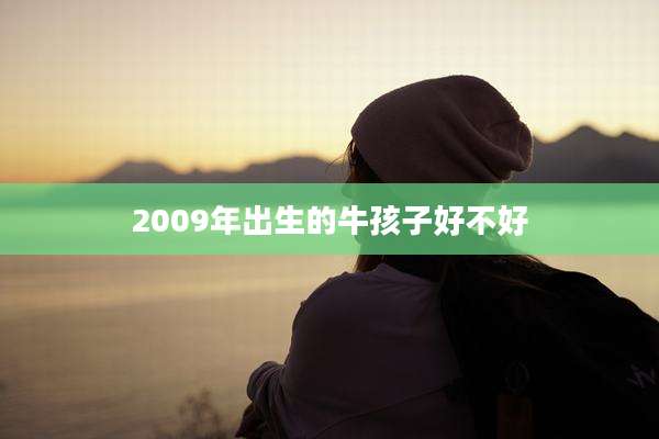 2009年出生的牛孩子好不好