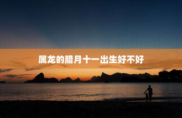 属龙的腊月十一出生好不好