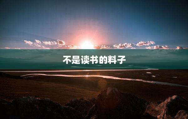 不是读书的料子