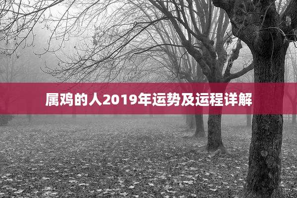 属鸡的人2019年运势及运程详解