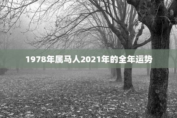1978年属马人2021年的全年运势