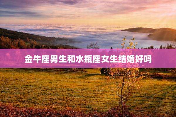 金牛座男生和水瓶座女生结婚好吗