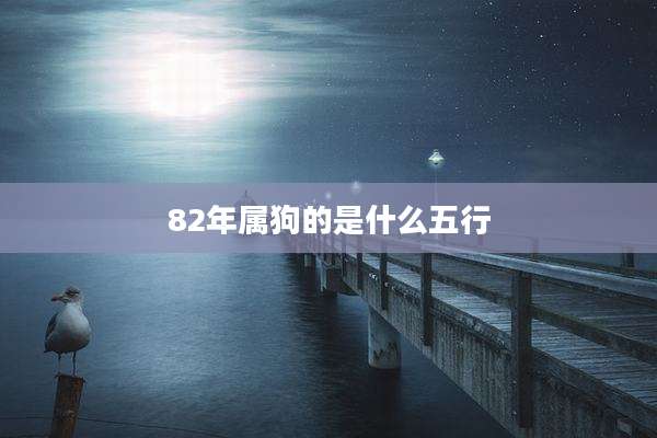 82年属狗的是什么五行