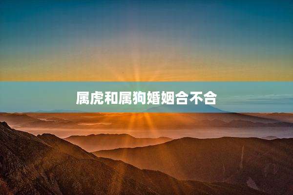 属虎和属狗婚姻合不合