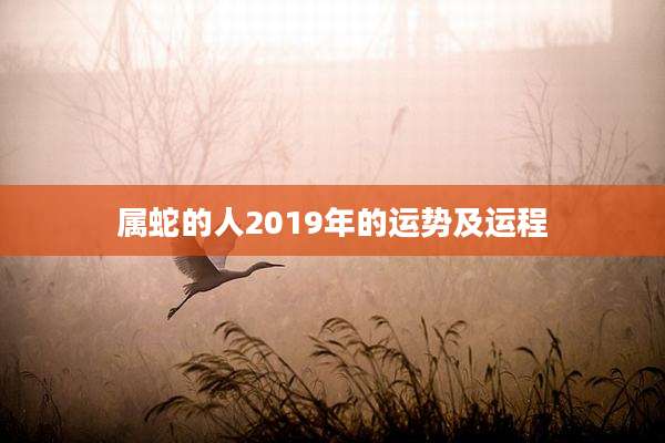 属蛇的人2019年的运势及运程