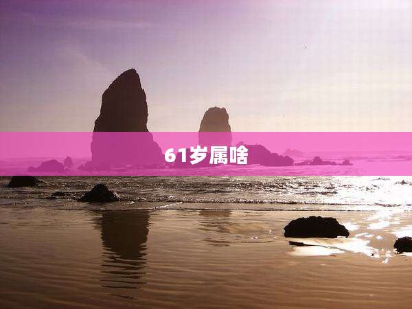 61岁属啥