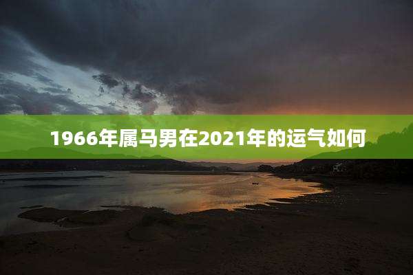 1966年属马男在2021年的运气如何
