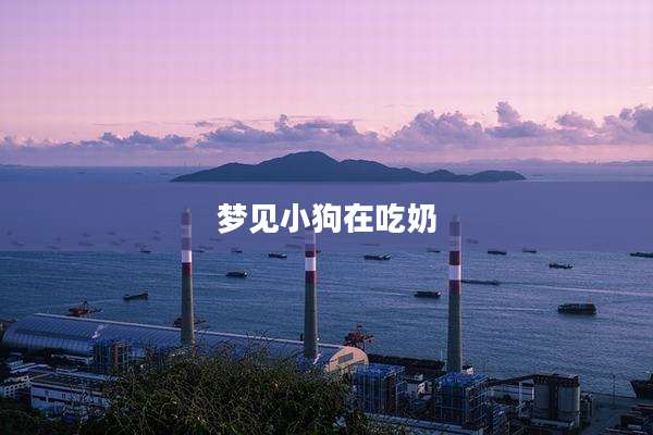 梦见小狗在吃奶