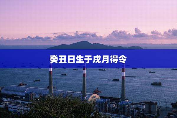 癸丑日生于戌月得令