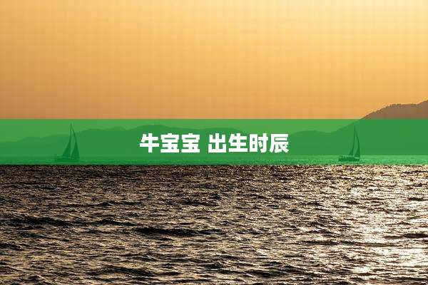 牛宝宝 出生时辰