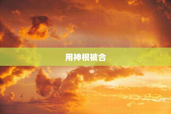 用神根被合