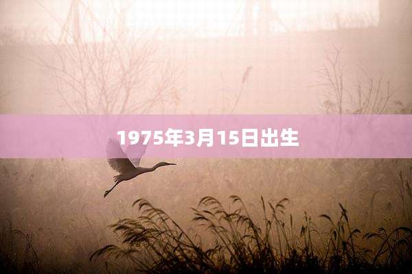 1975年3月15日出生