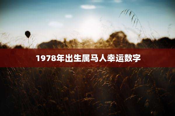 1978年出生属马人幸运数字
