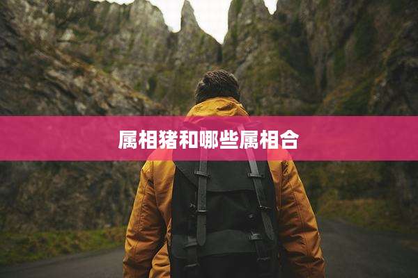 属相猪和哪些属相合