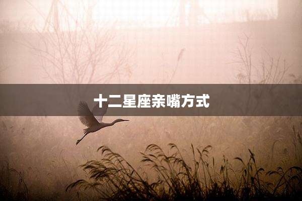 十二星座亲嘴方式