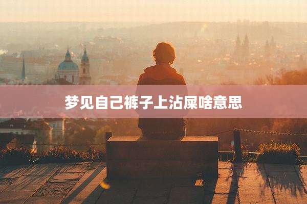 梦见自己裤子上沾屎啥意思