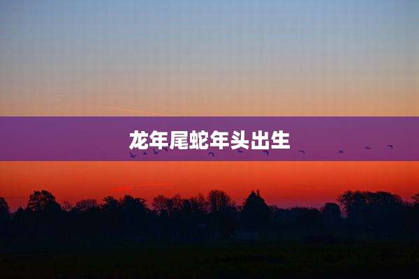 龙年尾蛇年头出生