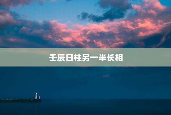 壬辰日柱另一半长相