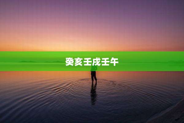癸亥壬戌壬午