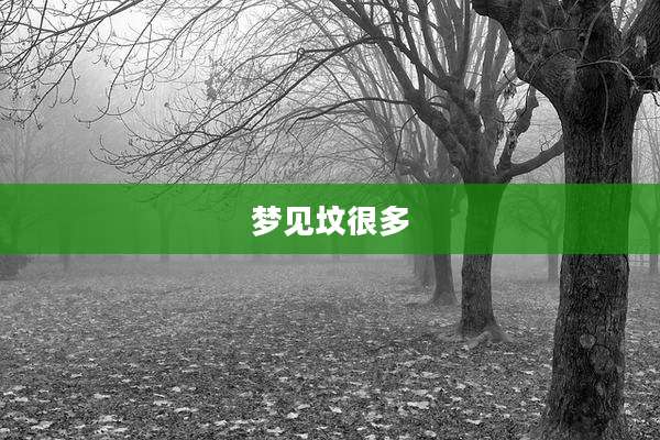 梦见坟很多