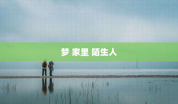 梦 家里 陌生人