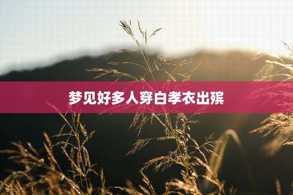 梦见好多人穿白孝衣出殡