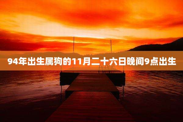 94年出生属狗的11月二十六日晚间9点出生