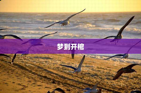 梦到开棺
