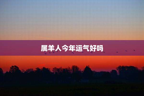 属羊人今年运气好吗