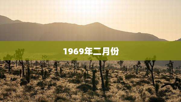 1969年二月份