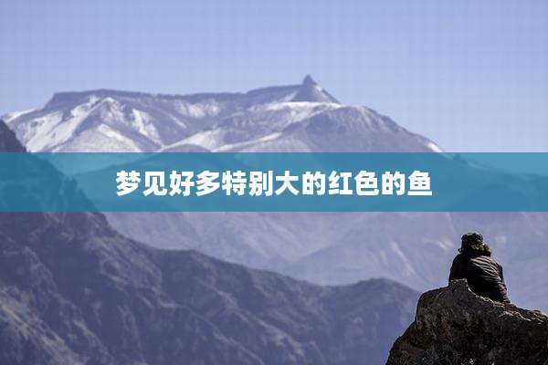 梦见好多特别大的红色的鱼