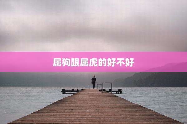 属狗跟属虎的好不好