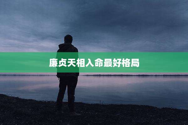 廉贞天相入命最好格局